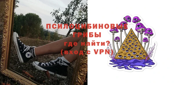 амф Арсеньев