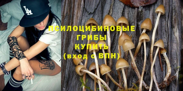 амф Арсеньев
