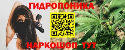индика Свободный