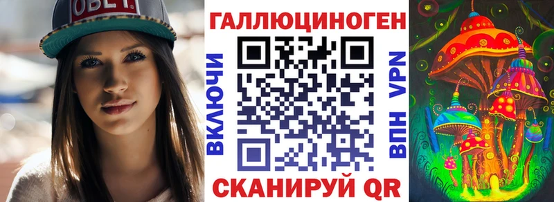 где можно купить наркотик  Унеча  Галлюциногенные грибы Psilocybine cubensis 