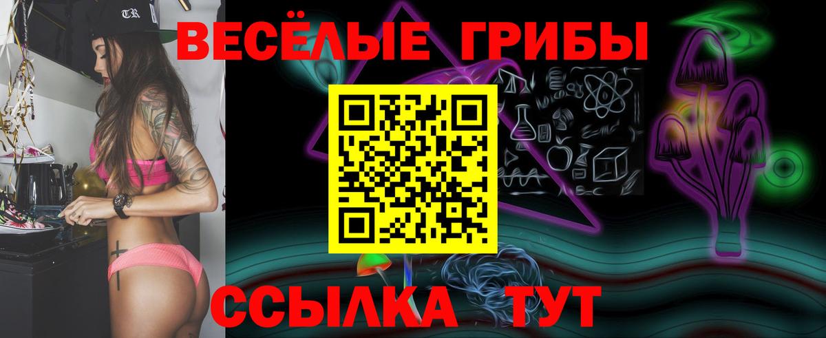Галлюциногенные грибы мухоморы Унеча