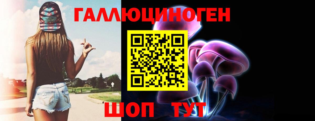 Унеча  Псилоцибиновые грибы прущие грибы  Галлюциногенные грибы Cubensis  Вход с VPN 
