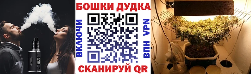 купить наркотики сайты Унеча Канабис LSD WEED